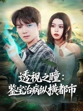 透视之瞳：鉴宝治病纵横都市