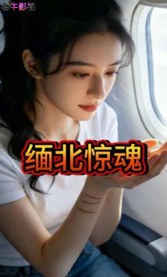 缅北惊魂